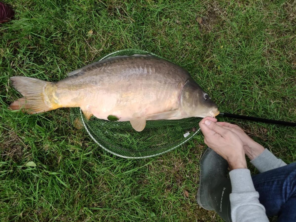 Deux Etangs Poissonneux Au Milieu Des Bois Avec Gite Moderne, La Halte Des Deux Lacs Rosée Exterior foto